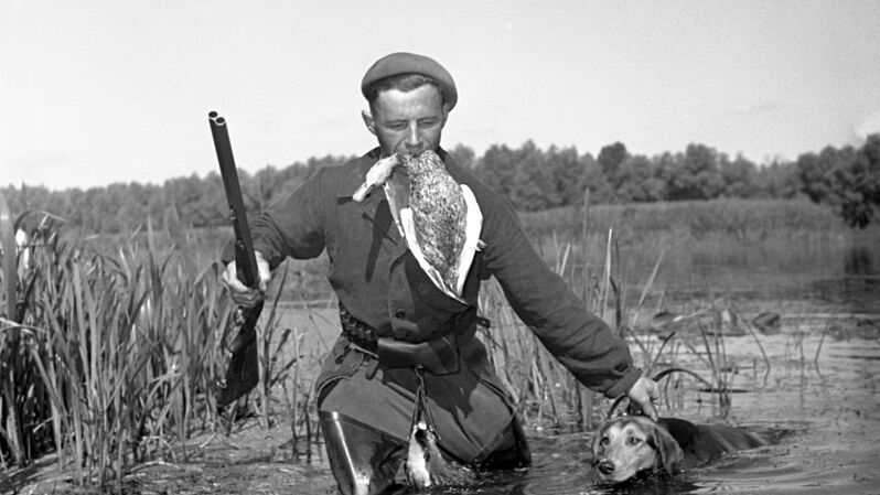Охотник идет по болоту после удачной охоты, 1956 год Охотник идет по болоту после удачной охоты, 1956 год - «Россия сегодня», 800, 08.09.2021